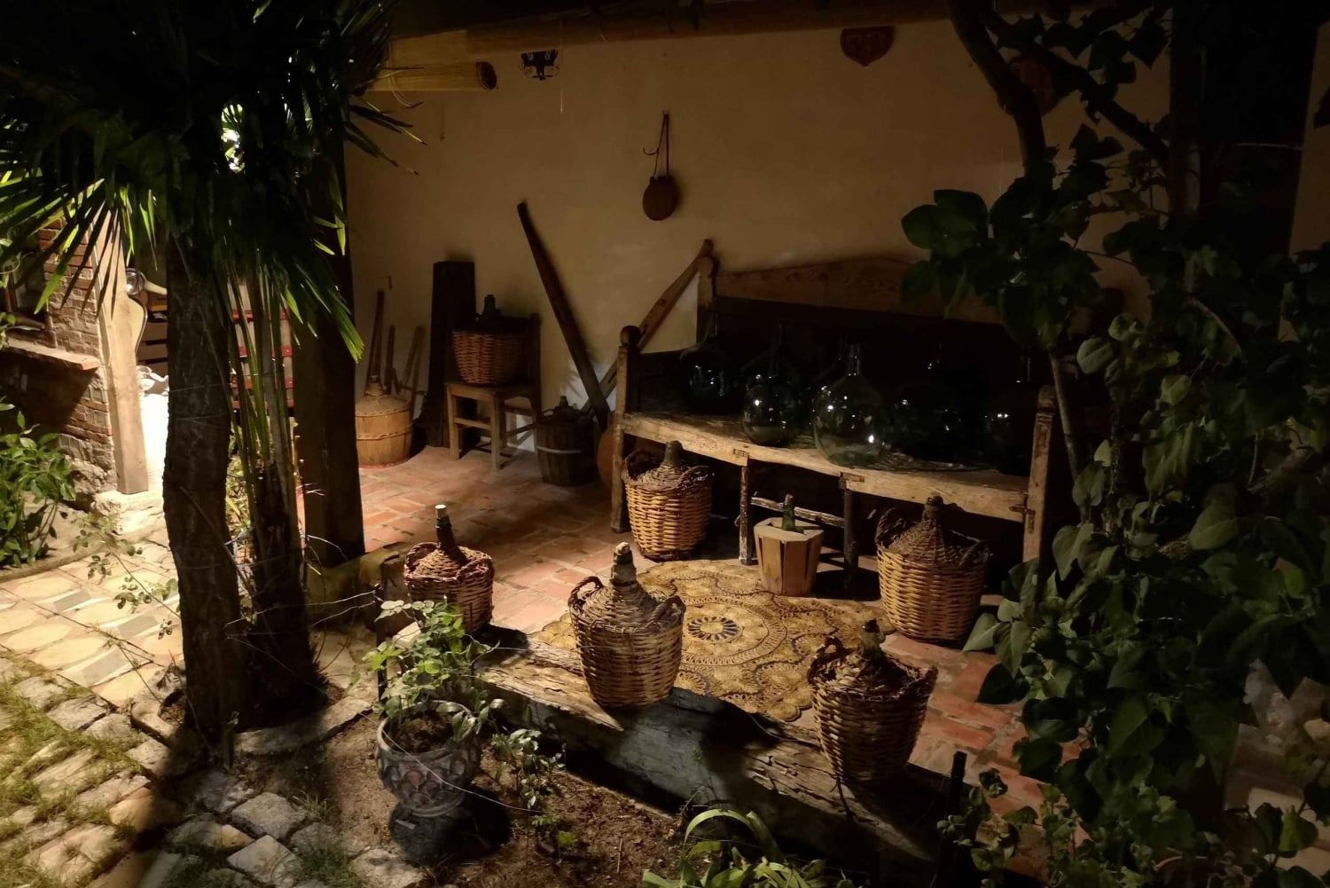 Segovia: Vingårdstur med vinsmaking