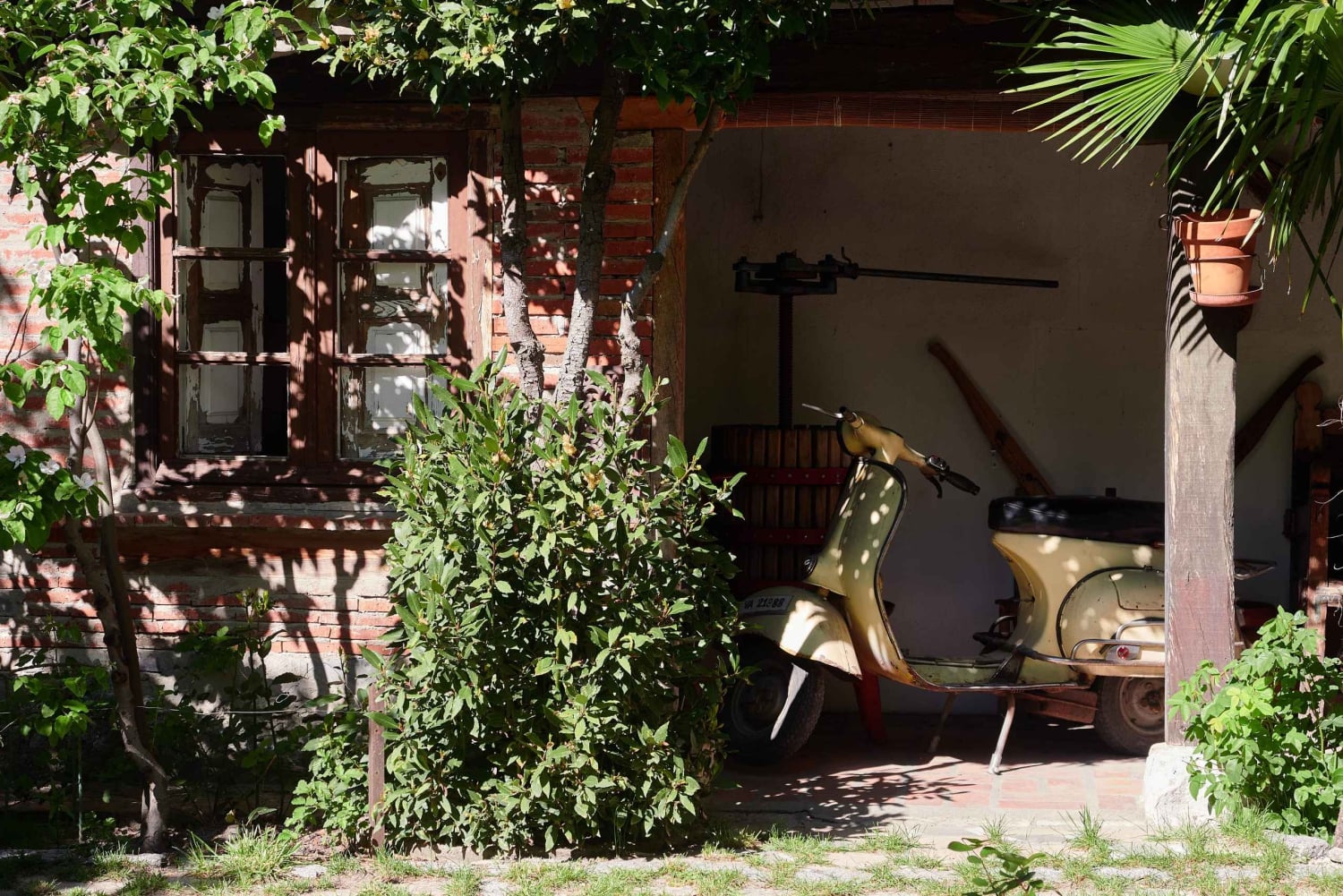 Segovia: Vingårdstur med vinsmaking