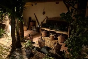 Segovia: Vingårdstur med vinsmaking