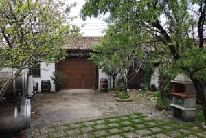 Segovia: Vingårdstur med vinsmaking