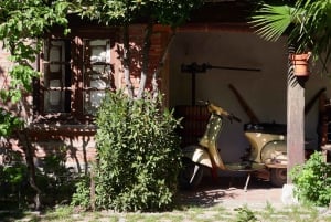 Segovia: Vingårdstur med vinsmaking