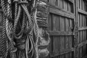 Segovia: Vingårdstur med vinsmaking