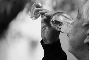 Segovia: Vingårdstur med vinsmaking