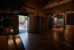 Segovia: Vingårdstur med vinsmaking