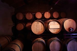 Segovia: Vingårdstur med vinsmaking