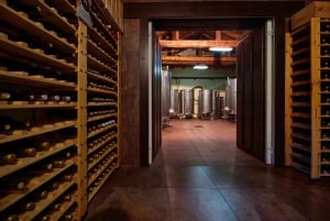 Segovia: Vingårdstur med vinsmaking