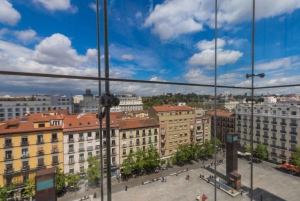 Skip-the-Line Reina Sofia Museum Madrid Private Tour