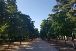 Small Group Madrid Bike Tour With Churros and Chocolate