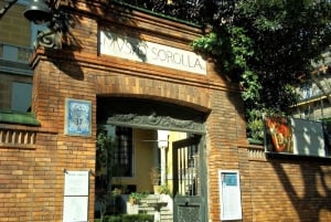 Visite privative du musée Sorolla avec un guide spécialiste