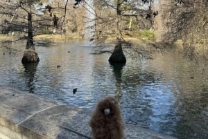 Soulful Madrid – Private 3-Hour Walking Tour