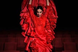 Teatro Flamenco Madrid: Lezioni di flamenco per gli amanti dell'arte