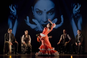 Teatro Flamenco Madrid : cours de flamenco pour les amateurs d'art