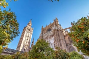 Das Beste von Sevilla von Madrid aus an einem Tag