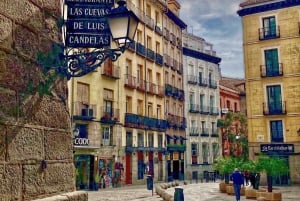 Gamlebyen: Austrias, katedralen og det kongelige palasset med lokale guider