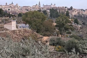 Toledo 5-Hour Tour in Private Car from Madrid