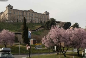 Toledo 5-Hour Tour in Private Car from Madrid