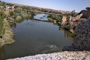 Toledo 5-Hour Tour in Private Car from Madrid