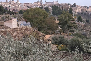 Toledo 5 Horas en Coche Privado desde Madrid