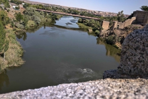 Toledo 5 Horas en Coche Privado desde Madrid