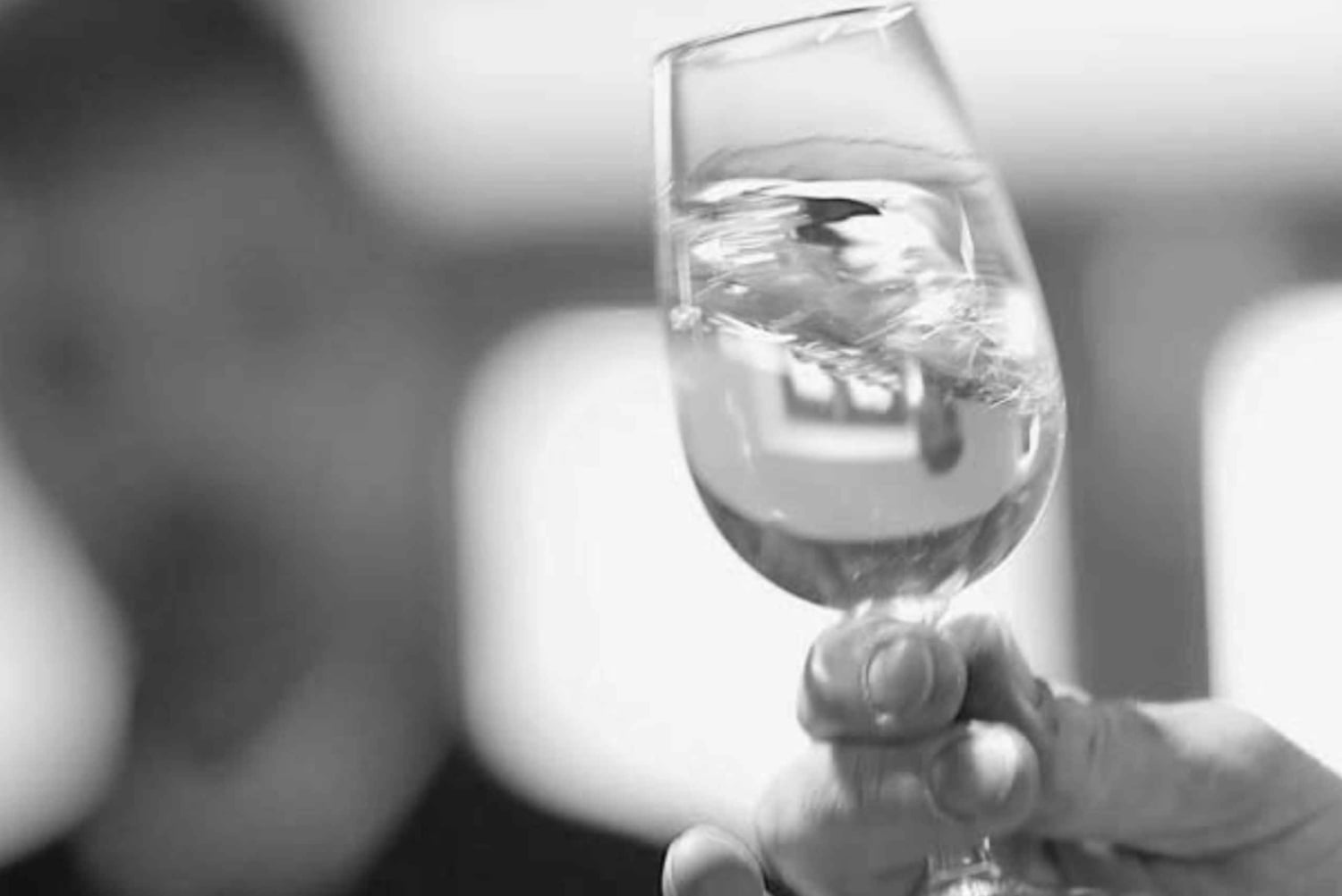 Toledo: zwiedzanie winnicy Casa del Valle i degustacja win