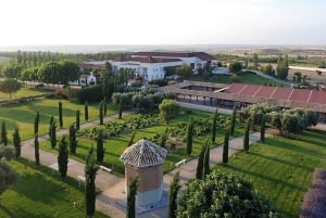 Toledo: zwiedzanie winnicy Casa del Valle i degustacja win