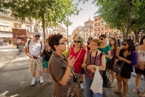 Toledo: Heldags guidet bustur med bus fra Madrid