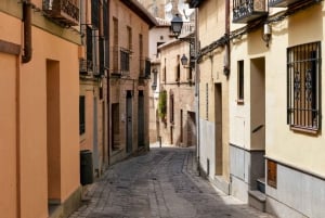 Madrid: Toledon päiväretki viinitilavierailun ja viininmaistelun kanssa