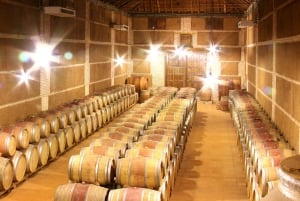 Madrid: dagtrip naar Toledo met bezoek aan een wijnmakerij en wijnproeverij