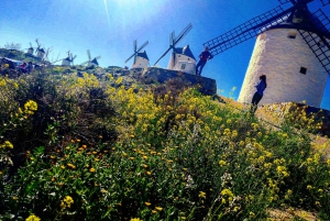 Toledo: Vintur i Toledo og La Mancha – Vindmøller og lunsj inkludert.