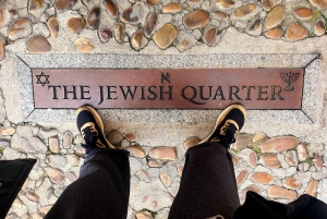 Toledo: Toledo & La Mancha Wine Tour - Windmills and Lunch included.