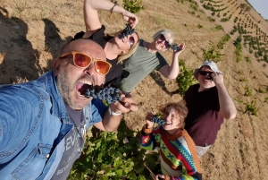 Toledo: Toledo & La Mancha Wine Tour - Windmills and Lunch included.