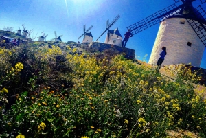 Toledo: Toledo & La Mancha Wine Tour - Windmills and Lunch included.