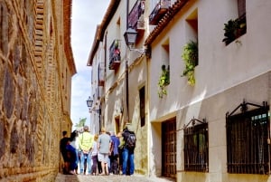 Från Madrid: Guidad dagstur till Toledo