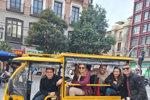 トゥクトゥクでマドリードのベストスポットを巡るツアー