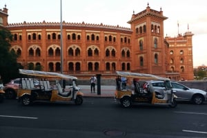 Tour with Private guide in Tuk Tuk through Madrid Torero