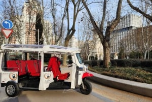 Madrid Tour: Experience Madrid in motion- from 1h to FullDay