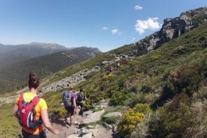 Madrid: Trail Running Day Trip