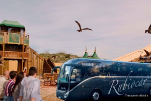 Madrid: Puy du Fou Round-Trip Transfer & Optional Ticket