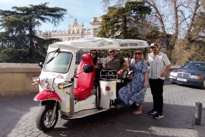 Tuk Tuk Tour with Wine Test in Madrid