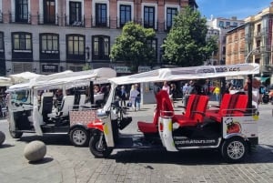 Tuk Tuk Tour with Wine Test in Madrid