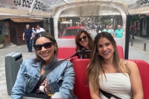 Tuk Tuk Tour with Wine Test in Madrid