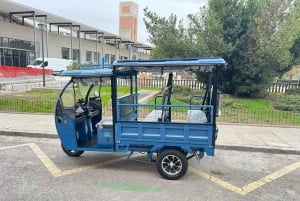 Tuktuk around Madrid in a fun and original way