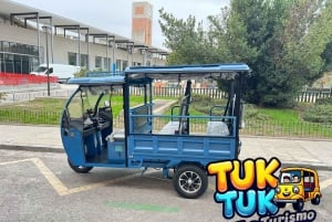 Tuktuk around Madrid in a fun and original way