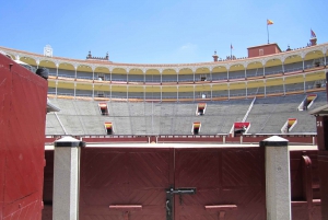 Madrid: Las Ventas bullring VIP private guided tour