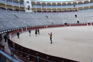 Madrid: Las Ventas bullring VIP private guided tour