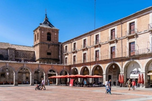 Besøk Almagro fra Madrid med Manchego-smaking