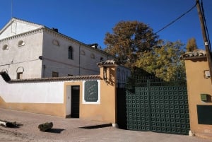 Visit to an olive oil mill and oil tasting with aperitif and food and wine pairing.