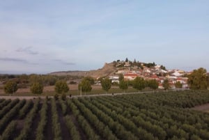 Visit to an olive oil mill and oil tasting with aperitif and food and wine pairing.