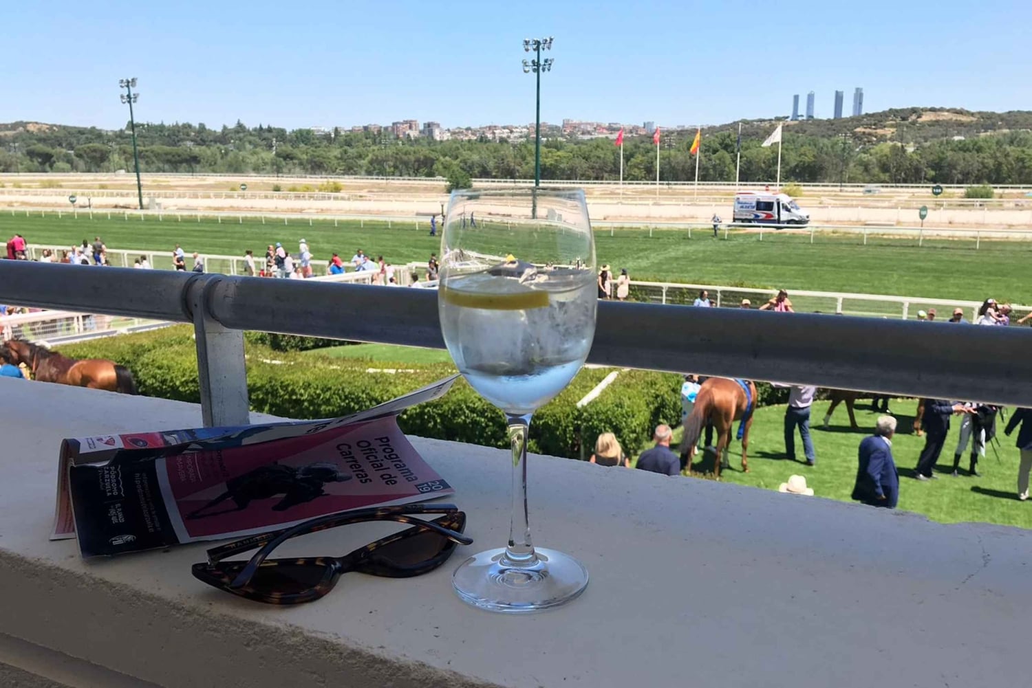 Экскурсия по ипподрому Сарсуэла в Мадриде