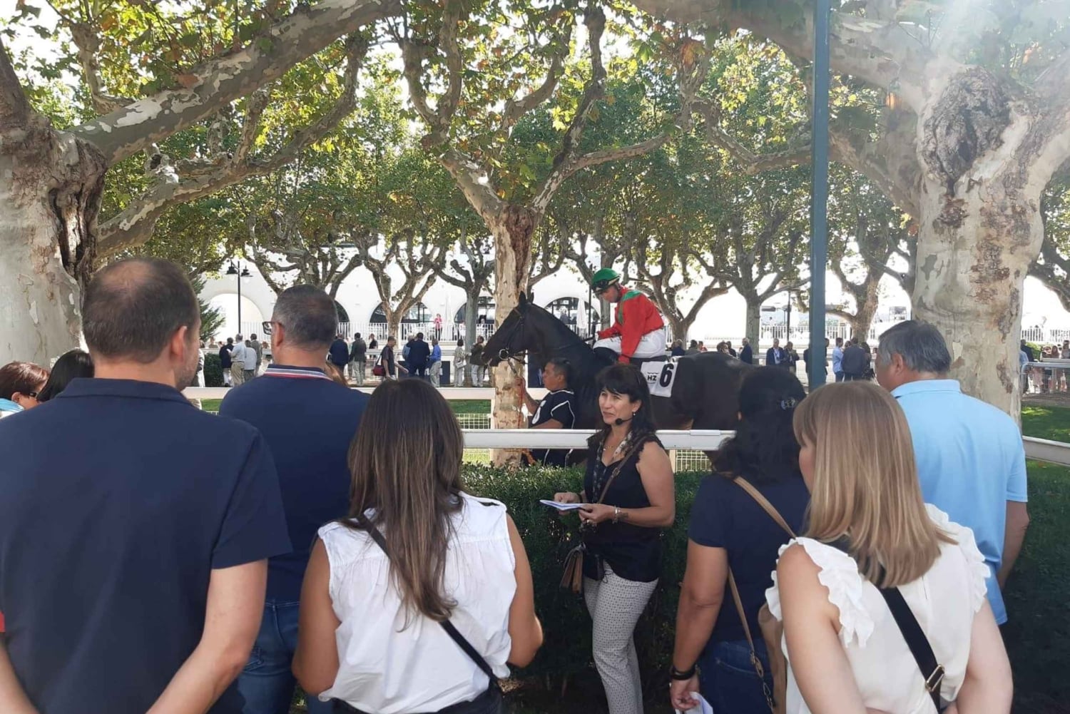 Экскурсия по ипподрому Сарсуэла в Мадриде